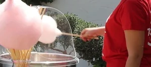 blog 8